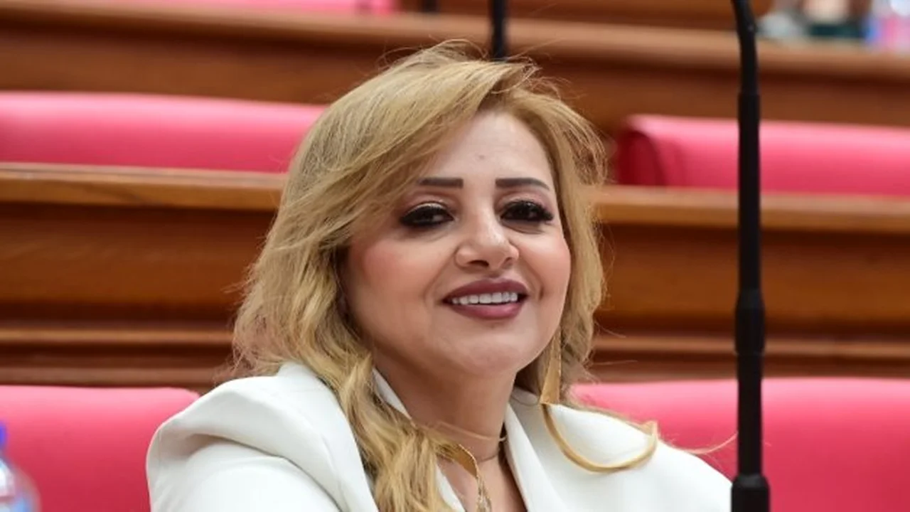 مصر تحذر مبكرًا والبرلمانية هبة غالى تتحدث عن مراجعة أنشطة الإخوان